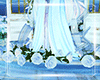 !A- White Roses