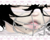 muzzle