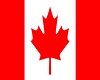 light canada