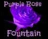 PurpleRose Fountain