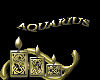 sticker aquarius gold