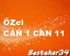 özel
