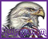 ~H~Americas pride