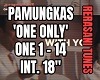 Pamungkas-Only One