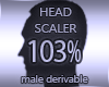 Head Scaler 103%