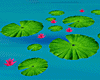 [ST]Water Lilies