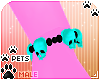 [Pets]Phir|skulbraceletL