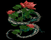 Blazing Rose Dragon