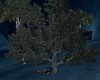 green trees (animated)