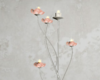 Candles Rosa
