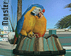 Island Parrot
