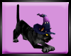 Dp Witchy Cat