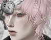 𝓐| Anet