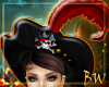 Pirate Hat with Feather