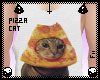 ƒ ; guise its pizza cat