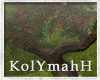 KYH | TreeHouse tree