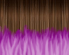 Hunny brown / purple tip