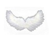 Angel Wings Marker