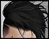 (C) Hair