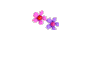 Flower-Heart