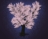 Sakura Tree 1