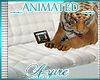 *A* Pet Tiger Sofa WHT