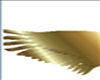 Solid Gold Wings
