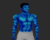 Male navi v2