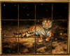 Fenêtre Tigre M32
