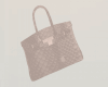 SC Crocs Skin Birkin v3