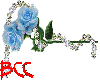 [BCC]Roses - Glitter