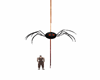 araña
