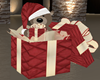 {G}  Christmas Gift Bear