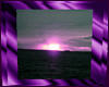 *A*Purple Sunset Pic