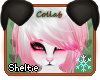 *S* Peppermint Lexi