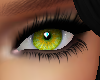 Tiger Eye Green 2024