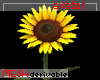 Sunflower avatar
