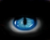 {DJ} Blue Eye (M)