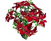 >Red Poinsettia<