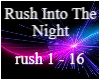 Rush Into The Night