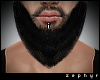 . trimmed beard | black