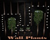 Wall Plants