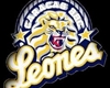 Leones Del Caracas