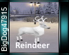 [BD]Reindeer