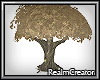 |RC|Song Tree 01