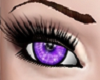 *KV* Purple Eyes