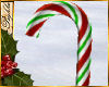 I~Xmas Candy Cane