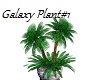 Galaxy Plant#1