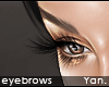 Y: eyebrows thick blk