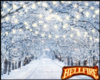 Snowy Avi Box Background